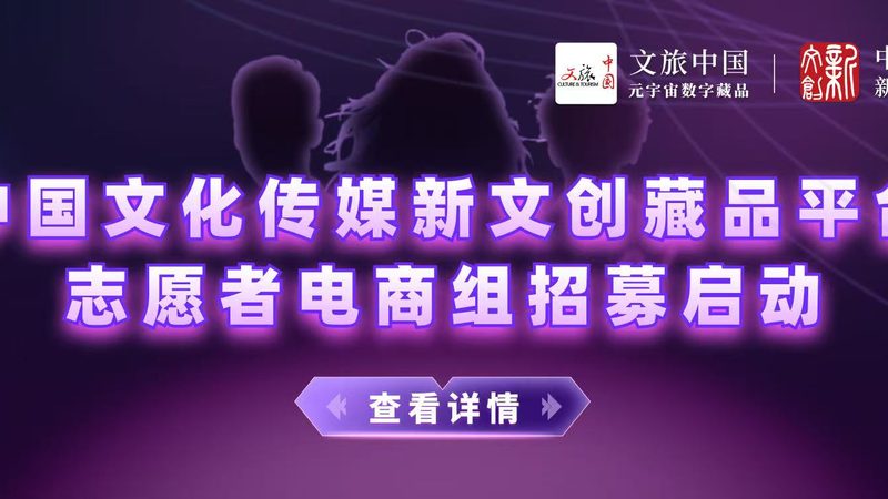 免费MG动画素材下载全攻略，轻松开启创意之旅
